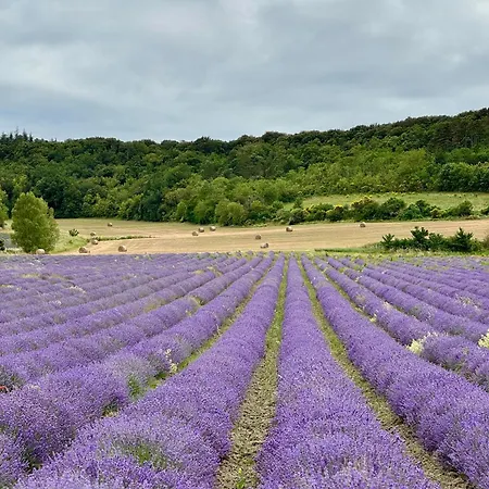 Chateau De L'encastre Frühstückspension 3*